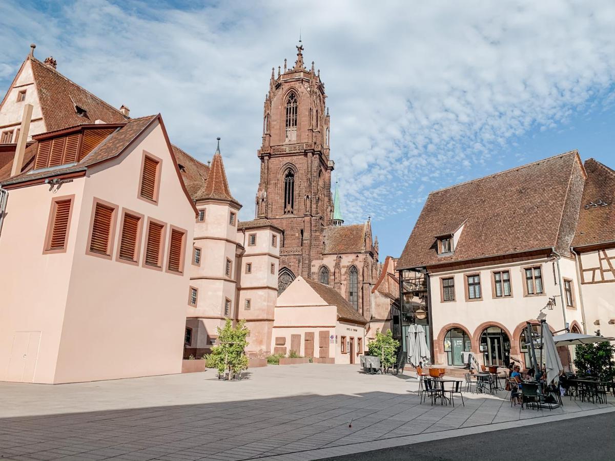 Le Nid Cosy - En Plein Coeur De Selestat Daire Dış mekan fotoğraf