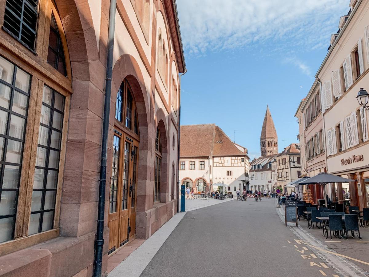 Le Nid Cosy - En Plein Coeur De Selestat Daire Dış mekan fotoğraf