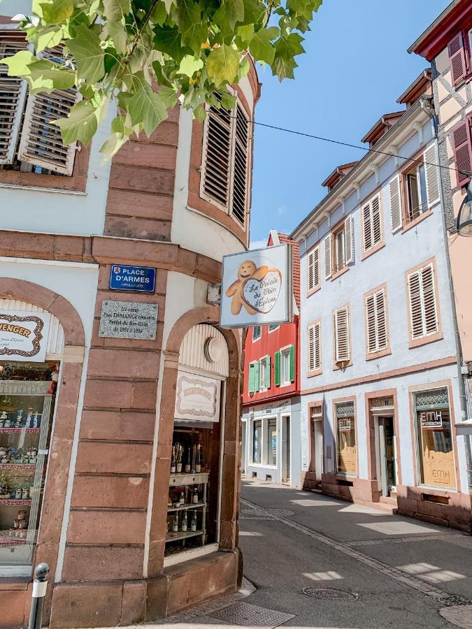 Le Nid Cosy - En Plein Coeur De Selestat Daire Dış mekan fotoğraf