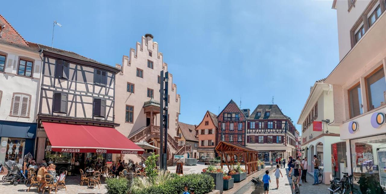Le Nid Cosy - En Plein Coeur De Selestat Daire Dış mekan fotoğraf