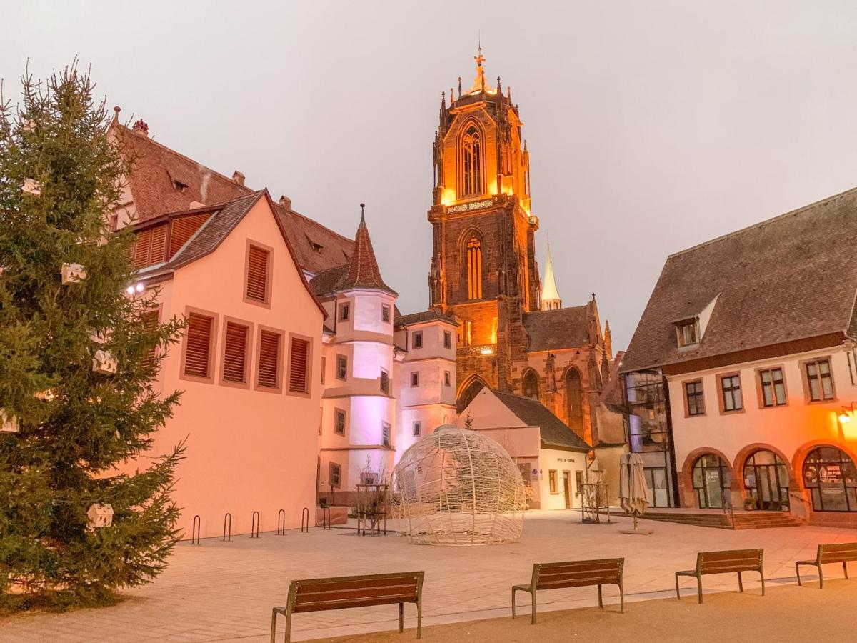 Le Nid Cosy - En Plein Coeur De Selestat Daire Dış mekan fotoğraf